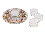 seashells votive
