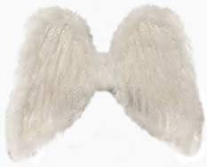 flower girl angel feather wings