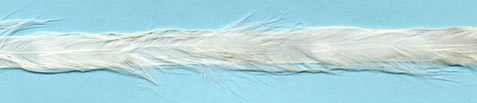 white feather tape ribbon