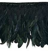 black iridescent feather trim