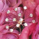starburst bouquet accent