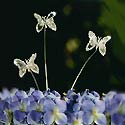 Swarovski butterfly picks