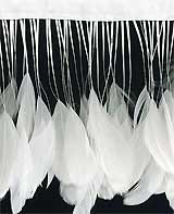 coque tail feather trim
