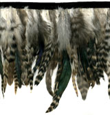 birds of a feather trim
