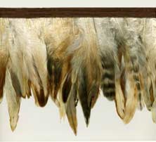 Birds of a Feather Trim