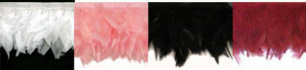 diva feather trim colors
