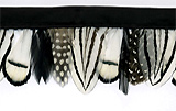 elegant winter feather trim