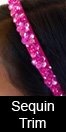 sequin trim