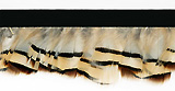 natural feather trim