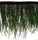 peacock feather flue fringe 