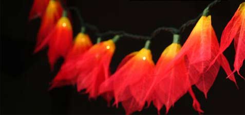 fire orange flower string lights for home decor and wedding decorations