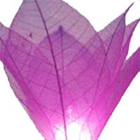 flower lights