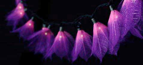 lavender flower string lights for weddings and home decor