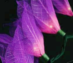 lavender flower string lights
