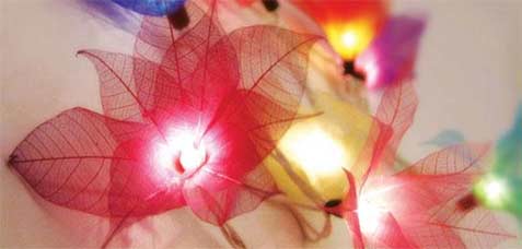 multi colored bodhi leaf flower string lights