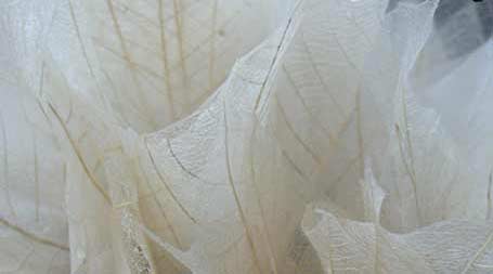 string lights wedding flowers string lights wedding flowers