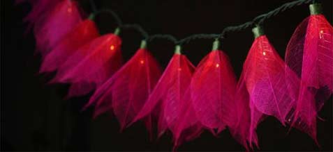 wine colored flower string lights
