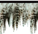 city jungle feather trim