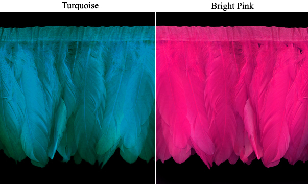 turquoise and hot pink goose feather fringe