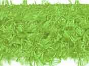HAIRY GIMP IN LIME
