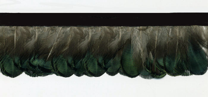 peacock dance feather trim