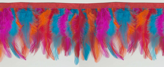 rainbow feather fringe