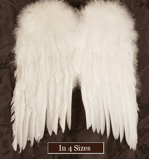 White Feather Angel Wings